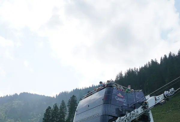 シュタンザーホルンの写真・動画_image_458872