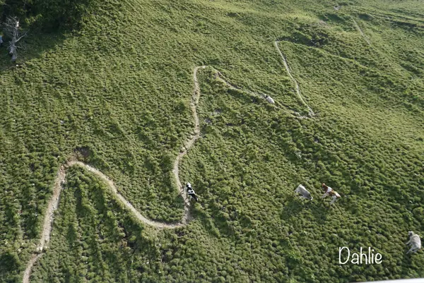 シュタンザーホルンの写真・動画_image_458878