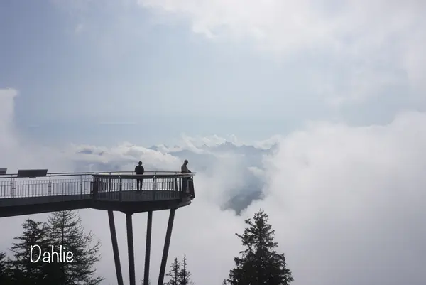 シュタンザーホルンの写真・動画_image_458899