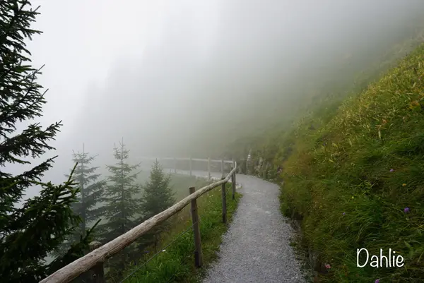 シュタンザーホルンの写真・動画_image_458918