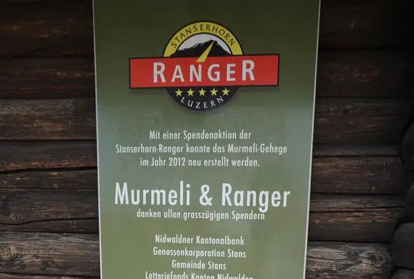 シュタンザーホルンの写真・動画_image_458919