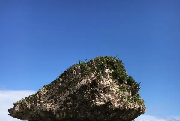 新原ビーチ高速艇海底観光ガラスボートの写真・動画_image_458969