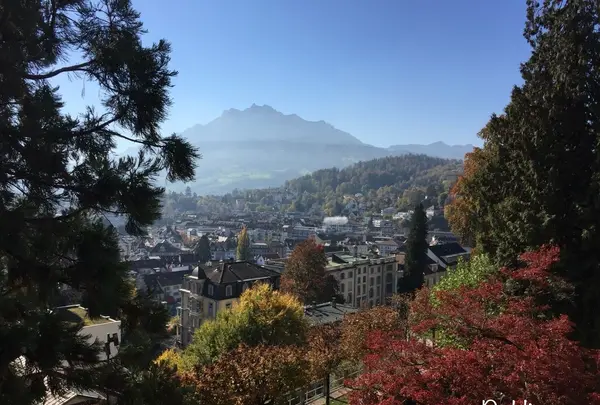 Museggmauerの写真・動画_image_459064