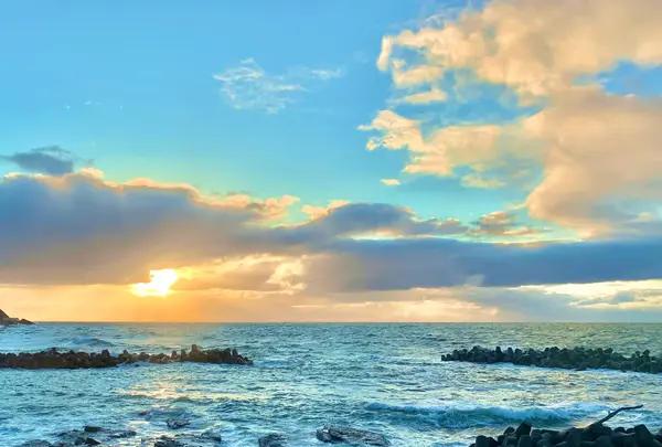 鶴岡市立加茂水族館（クラゲドリーム館）の写真・動画_image_459210