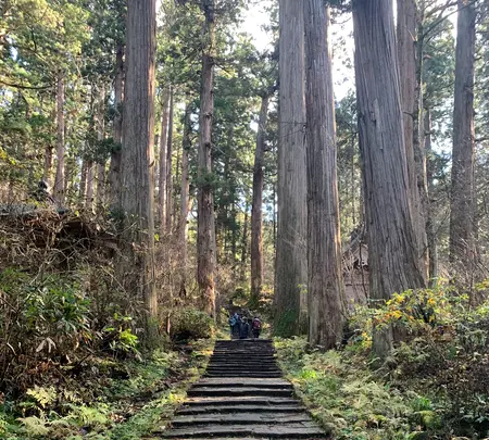 羽黒山五重塔の写真・動画_image_459224