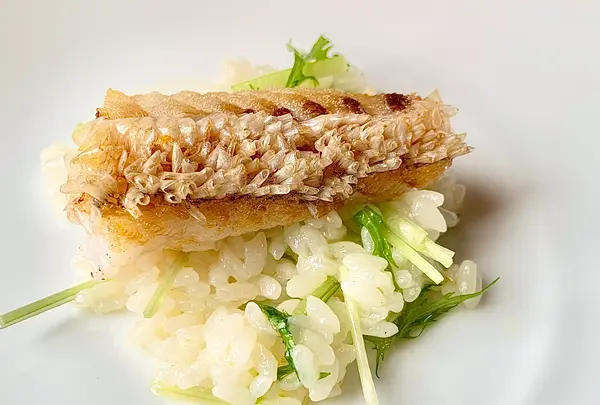 アル・ケッチァーノの写真・動画_image_459250