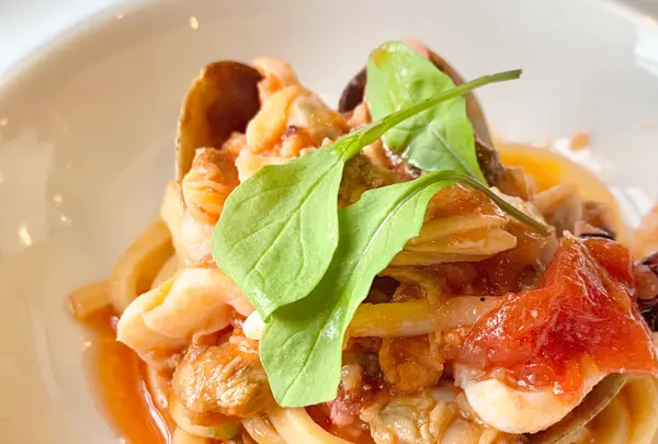 アル・ケッチァーノの写真・動画_image_459252