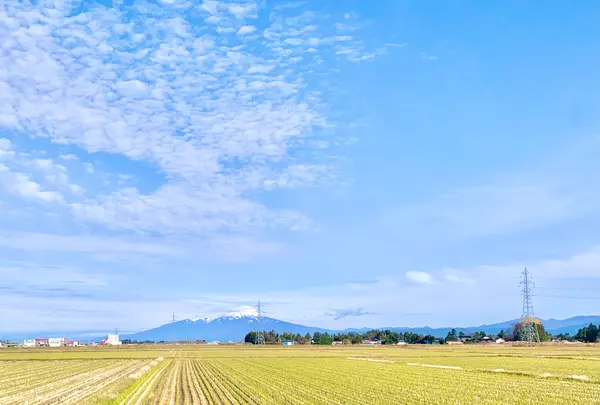 湯田川温泉の写真・動画_image_459283