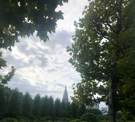 新宿御苑の写真・動画_image_459393