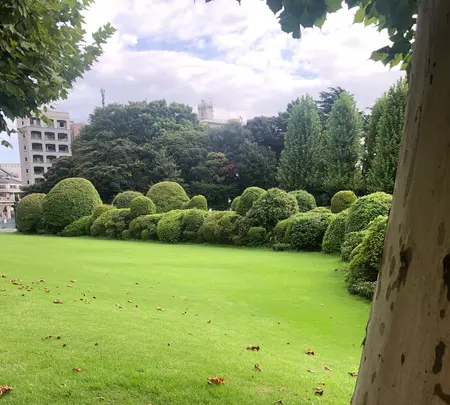 新宿御苑の写真・動画_image_459394