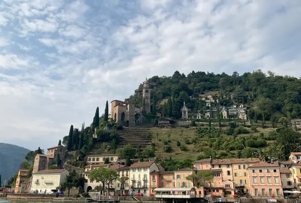 モルコテの写真・動画_image_459501