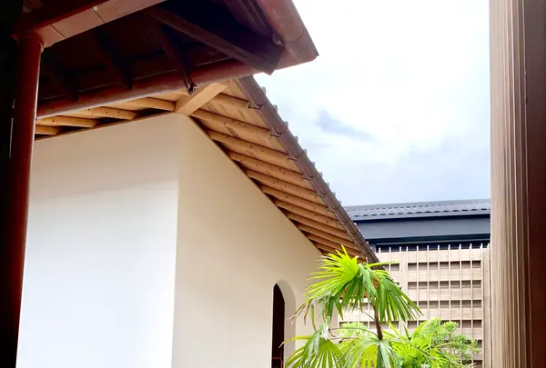 Azumi Setodaの写真・動画_image_459529