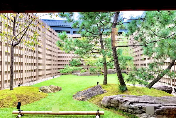 Azumi Setodaの写真・動画_image_459531