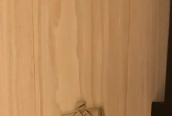 Azumi Setodaの写真・動画_image_459534