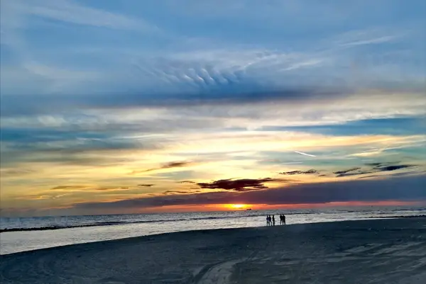 Porto Turistico di Romaの写真・動画_image_459544