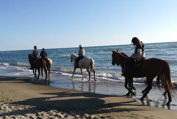 Porto Turistico di Romaの写真・動画_image_459545