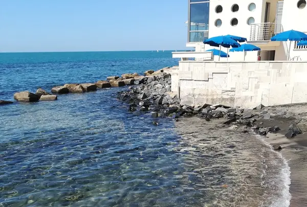 Porto Turistico di Romaの写真・動画_image_459547