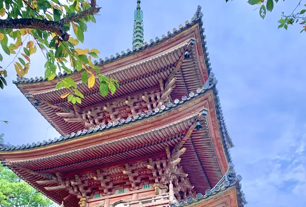 向上寺の写真・動画_image_459576