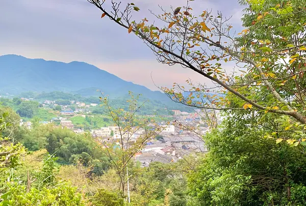 向上寺の写真・動画_image_459577