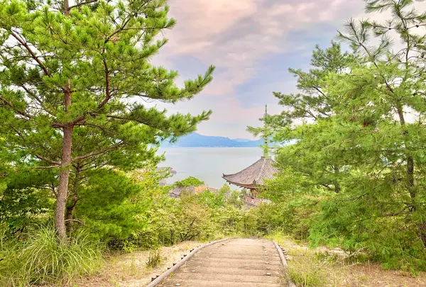 向上寺の写真・動画_image_459582