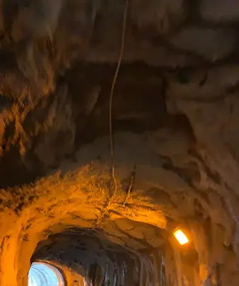 岩子島隧道の写真・動画_image_459766