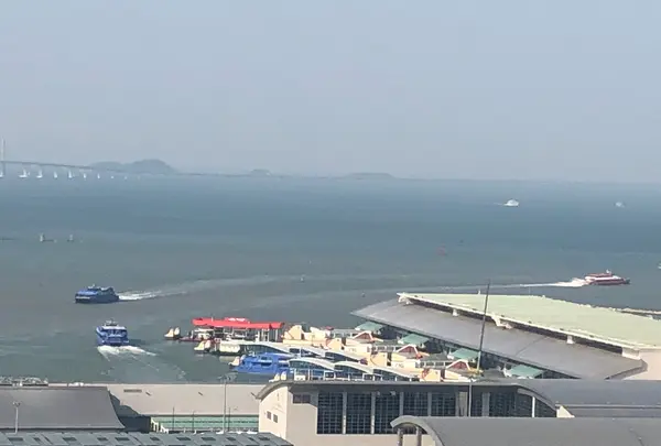 タイパ・フェリーターミナルの写真・動画_image_459770