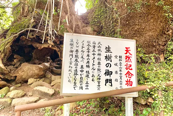 生樹の御門の写真・動画_image_459809