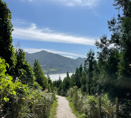 牡鹿半島の写真・動画_image_459860