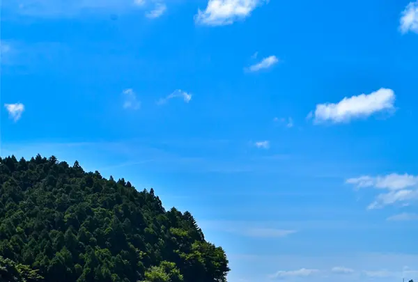 牡鹿半島の写真・動画_image_459868