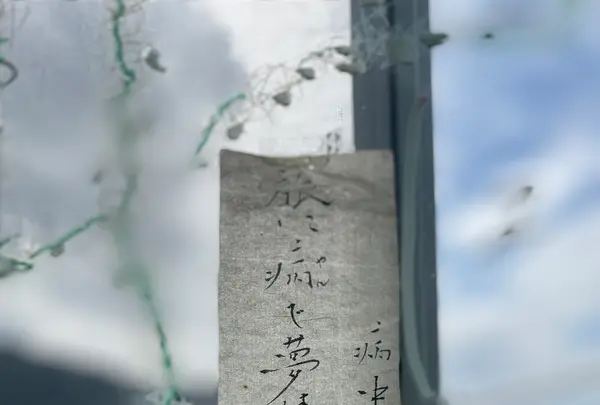 牡鹿半島の写真・動画_image_459870