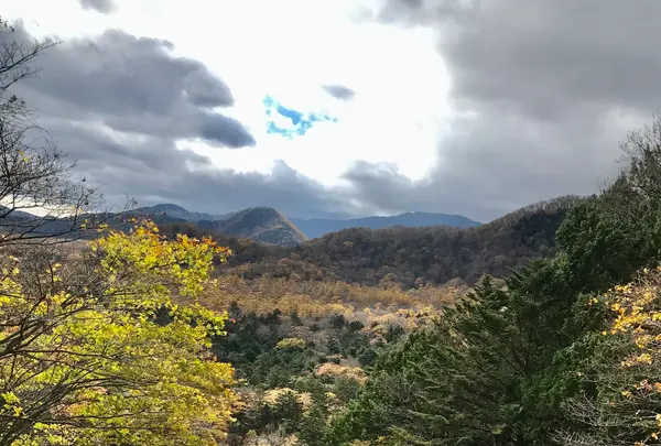 湯滝の写真・動画_image_460285