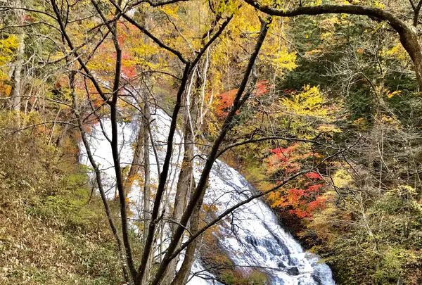 湯滝の写真・動画_image_460286