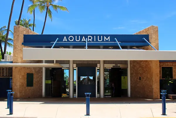 ワイキキ水族館の写真・動画_image_460440