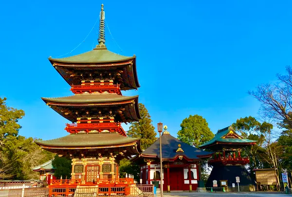 成田山新勝寺の写真・動画_image_460485