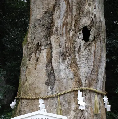 大山祇神社の写真・動画_image_460510