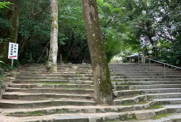 生樹の御門の写真・動画_image_460519