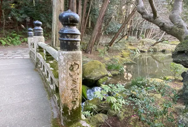 成田山公園の写真・動画_image_460540