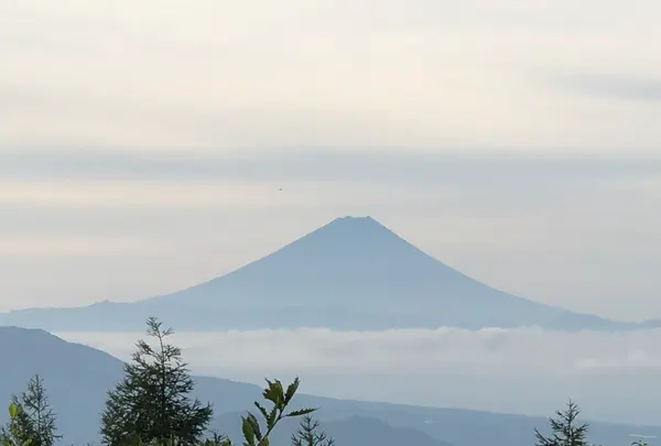 天女山の写真・動画_image_460593