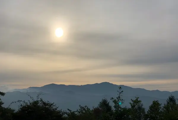 天女山の写真・動画_image_460594