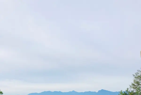 天の河原の写真・動画_image_460600