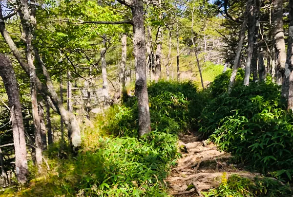 天の河原の写真・動画_image_460601
