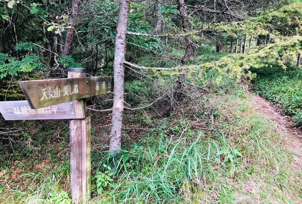 天の河原の写真・動画_image_460603