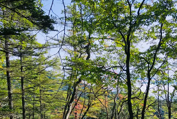 天の河原の写真・動画_image_460606