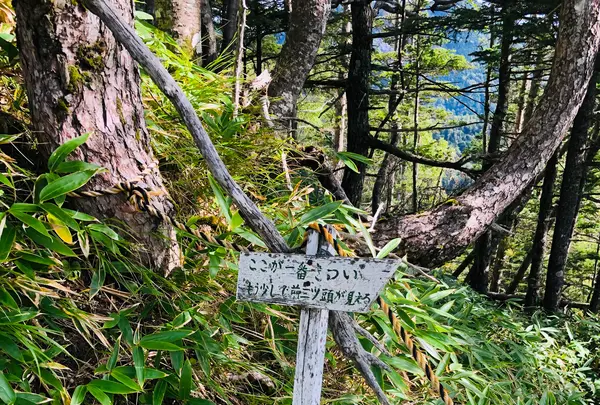 天の河原の写真・動画_image_460607