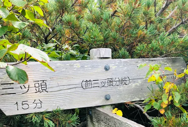 前三ッ頭の写真・動画_image_460611