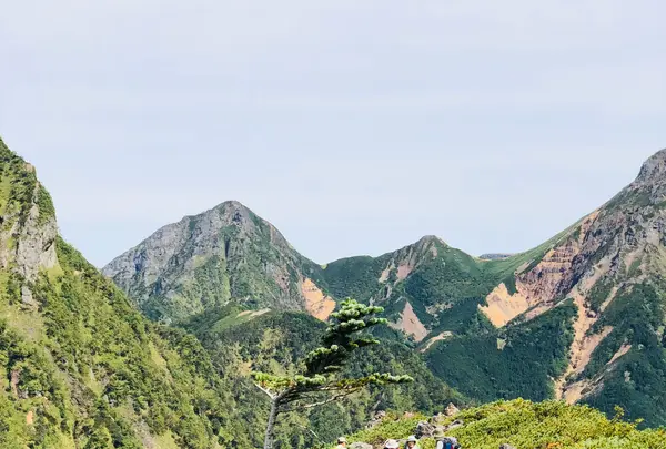 三ッ頭の写真・動画_image_460618