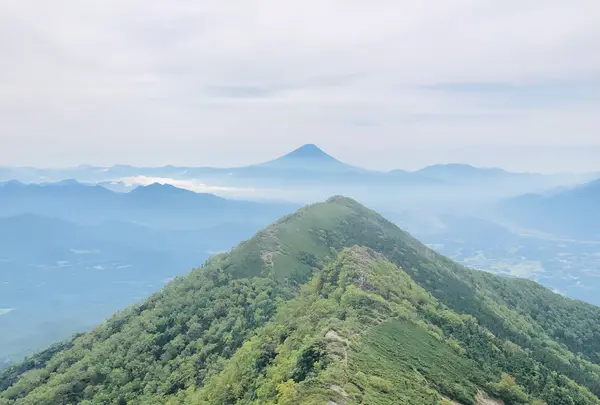 権現岳の写真・動画_image_460619