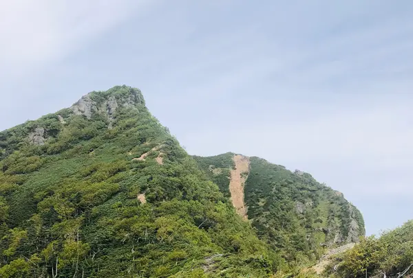 権現岳の写真・動画_image_460620