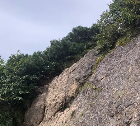 権現岳の写真・動画_image_460640