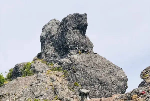 権現岳の写真・動画_image_460641